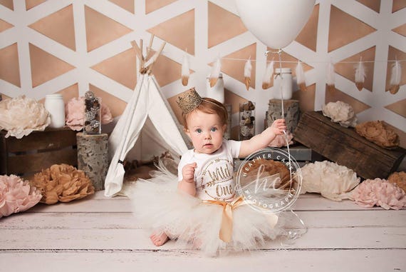 wild one smash cake outfit