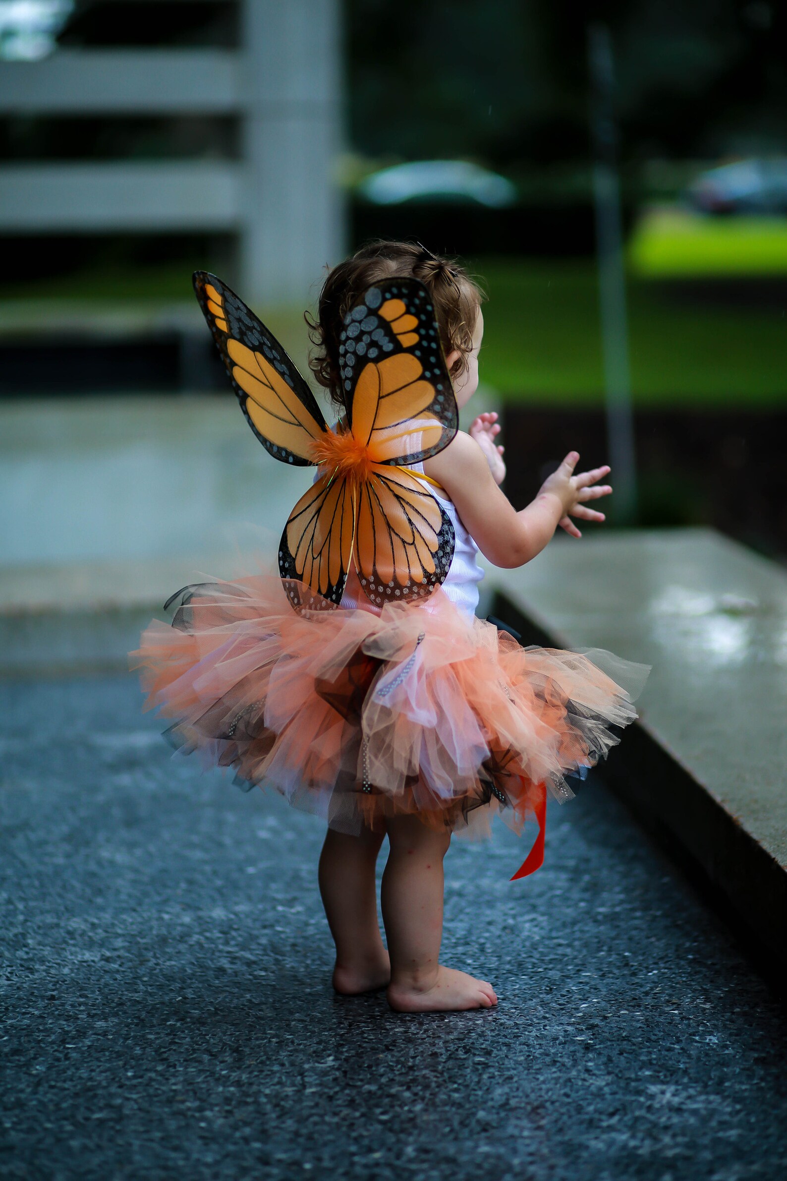 Butterfly Costume for Baby Girls Monarch Butterfly Dress Etsy
