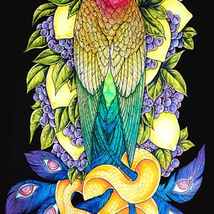 Quetzal- Fine Art Print