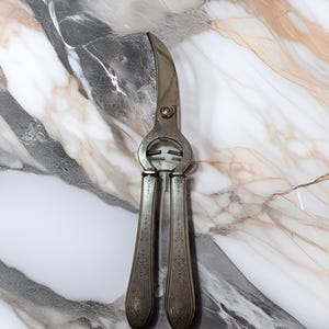 Vintage Silver Plated Poultry Shears – Ornate Floral Handles – Made in France