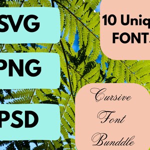 Moderne lettertypebundel | Stijlvolle script- en schreefloze lettertypen voor Cricut, branding, logo&#39;s en uitnodigingen | Digitale OTF/TTF-download voor ontwerpers