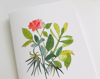 Summer Rose, Colorful, Watercolor, Blank Inside, Red, Pink, Green