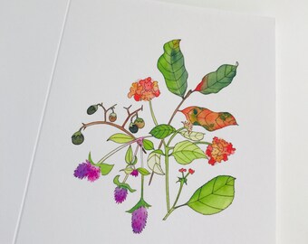 Bright Botanical Design, Colorful, Watercolor, Blank Inside, Pink, Orange, Green, Purple, Red