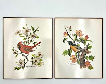 Vintage Leland Brewsaugh Bird Prints Set of 2 Cardinal Oriole 1977 Lithograph Art Cottagecore Botanical Wall Decor 70s Nature Artwork Pair