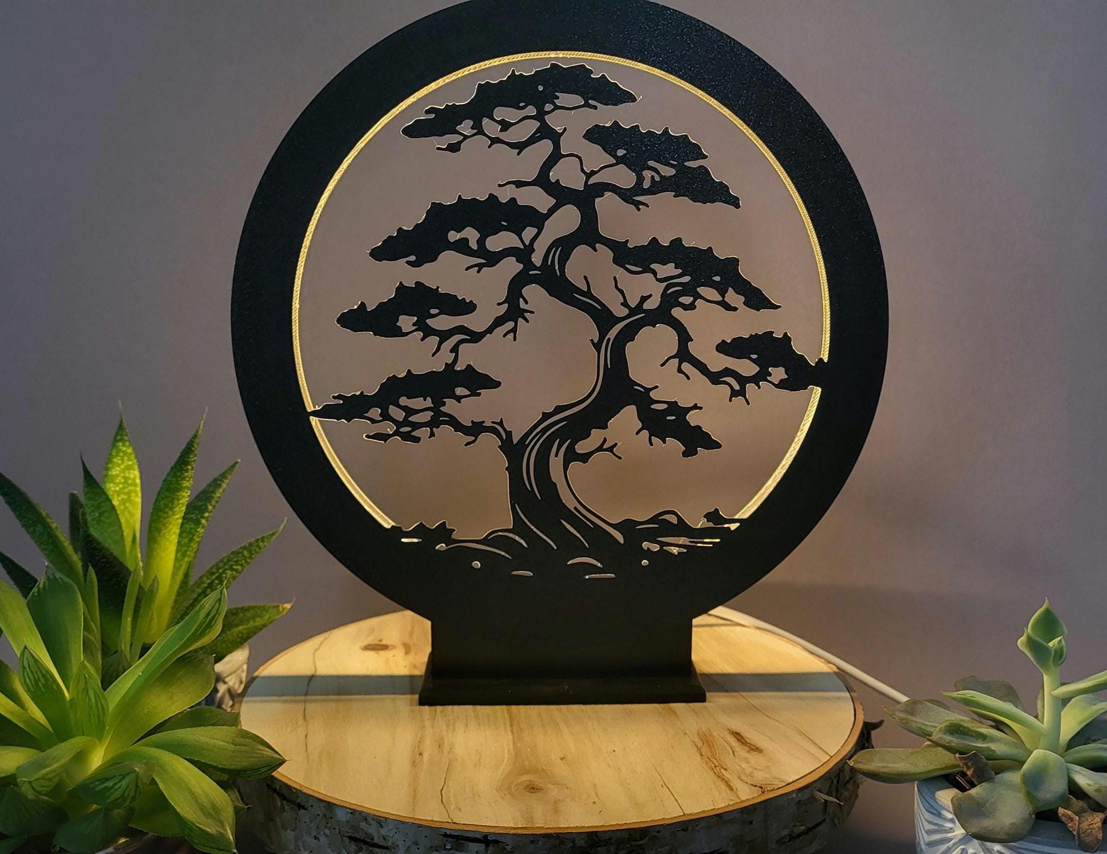 decor box bonsai Bonsai Box - Mystery Plant Subscription Box