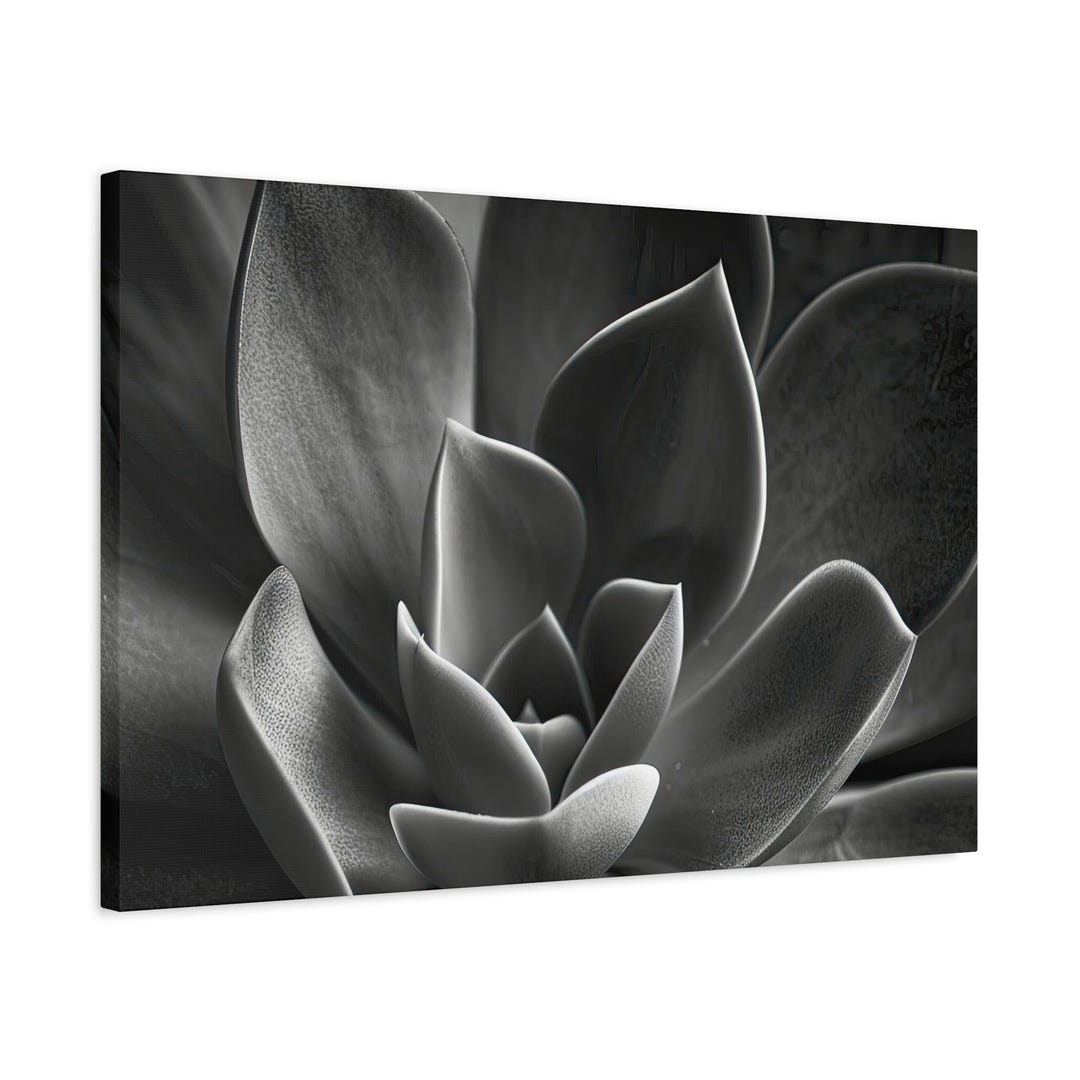 Black and White Succulent Plant Canvas Art - Framed or Unframed for Home  Decor - Etsy