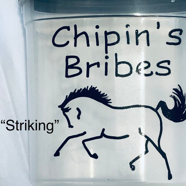 Personalized HORSE TREATS Cookies BRIBES Container - Choose Horse Art + Wording. Customizable.   Hand Painted.