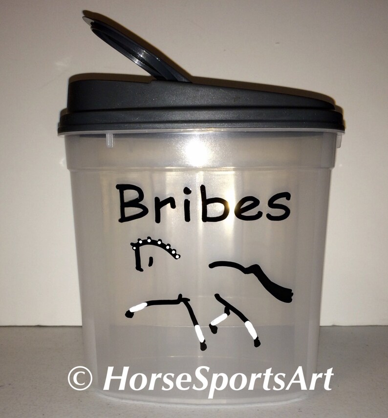 Custom Horse BRIBES Treats Container Dressage,Hunter Jumper,Reining,Friesian Choose Horse Art-Great Gift 25 cup capacity w Burgundy Lid