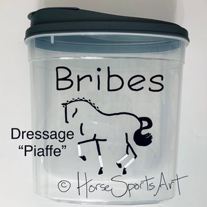 Personalized HORSE TREATS Cookies BRIBES Container - Choose Horse Art + Wording. Customizable.   Hand Painted.