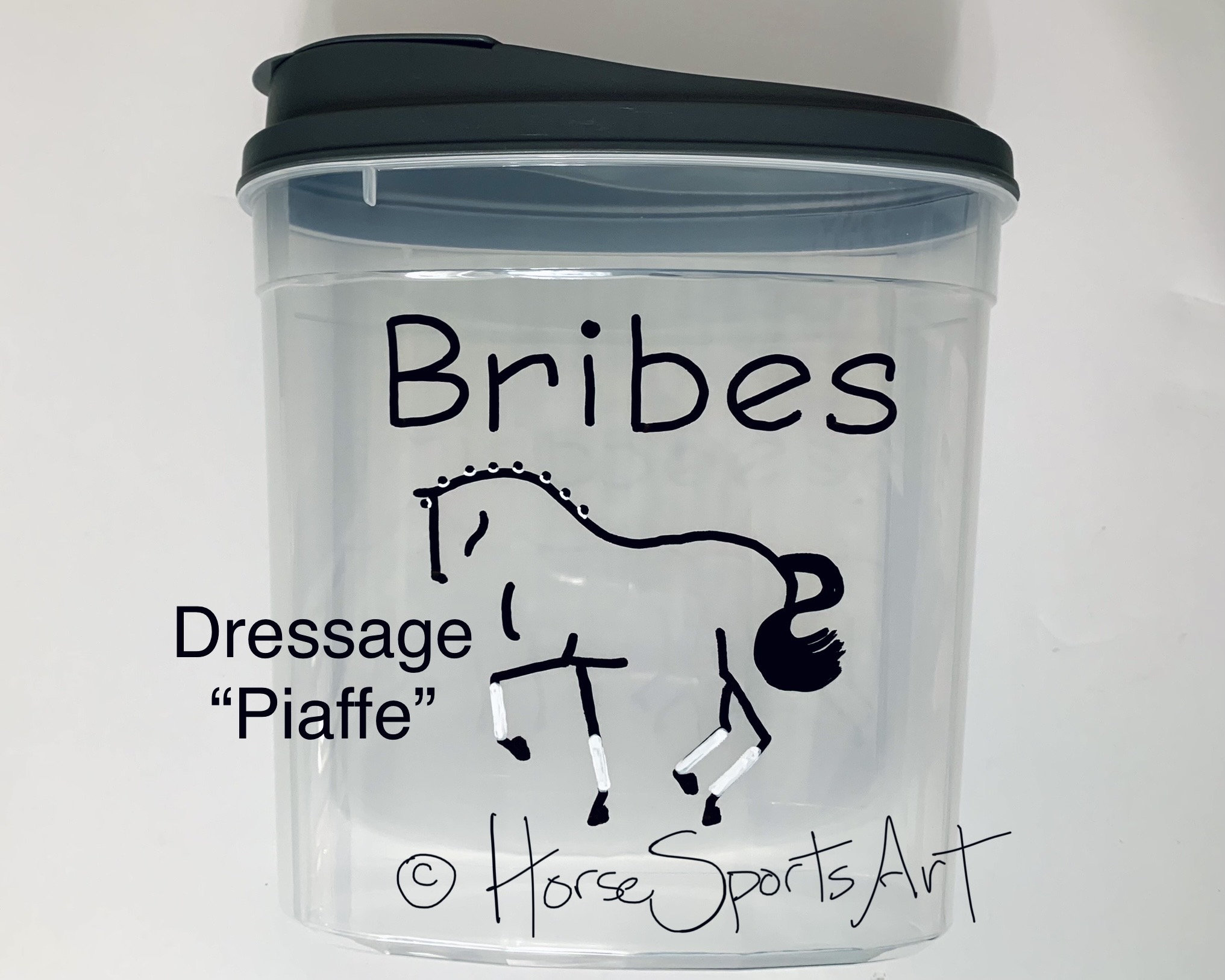 Personalized HORSE TREATS Cookies BRIBES Container - Choose Horse Art + Wording. Customizable.   Hand Painted.