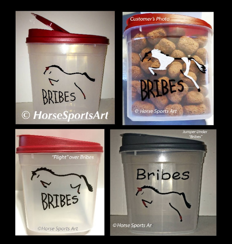 Custom Horse BRIBES Treats Container Dressage,Hunter Jumper,Reining,Friesian Choose Horse Art-Great Gift 25 cup capacity w Burgundy Lid