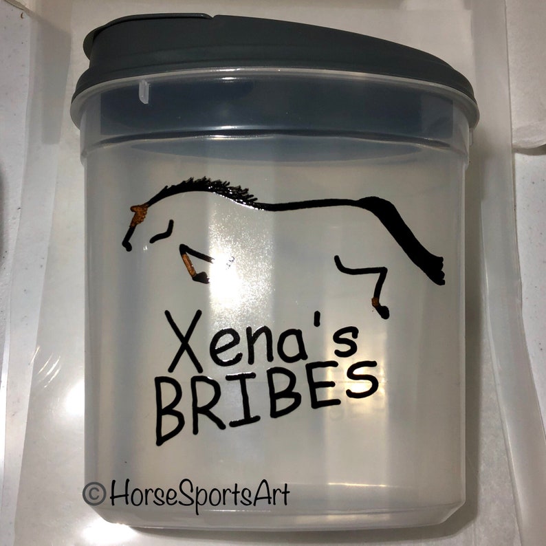 Custom Horse BRIBES Treats Container Dressage,Hunter Jumper,Reining,Friesian Choose Horse Art-Great Gift 25 cup capacity w Burgundy Lid