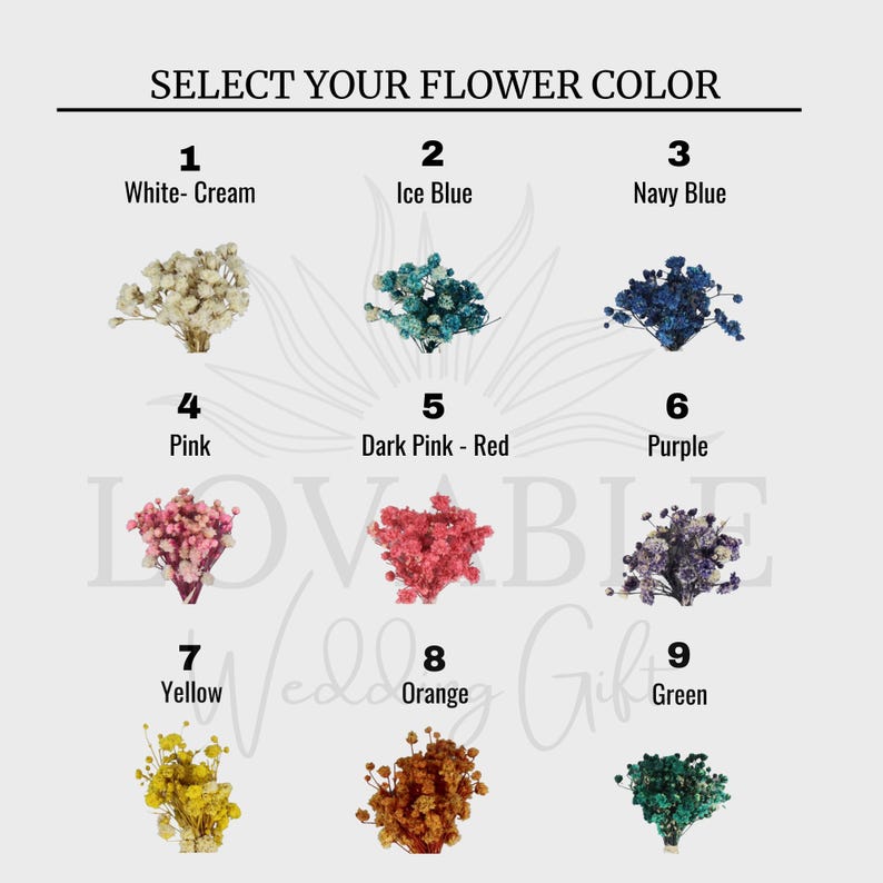Puede incluir: Imagen que muestra una selecci&oacute;n de ramos de flores secas en varios colores: blanco, azul hielo, azul marino, rosa, rosa oscuro-rojo, morado, amarillo, naranja y verde. El texto dice "SELECT YOUR FLOWER COLOR".