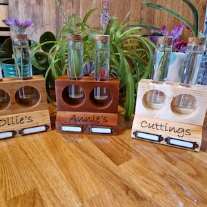May include: Three wooden propagation stations with glass test tubes, each featuring two circular cutouts for the tubes and two metal label holders at the base. The wood blocks are engraved with the text Ollie's, Annie's, and Cuttings respectively.