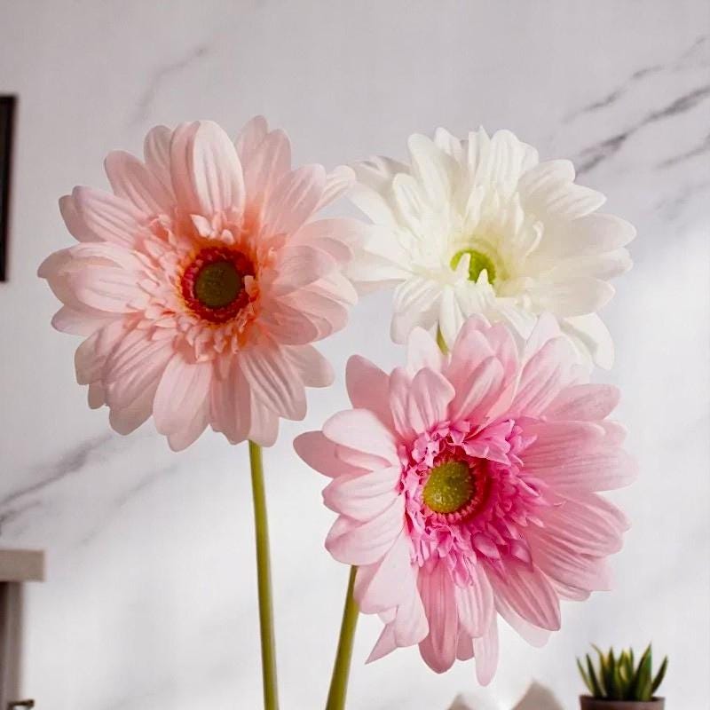 Light Peach Spider Gerbera Daisies Silk Flowers Real Looking Artificial Flowers Home Decor 16 5 6 Stems Fiveseasonstuff