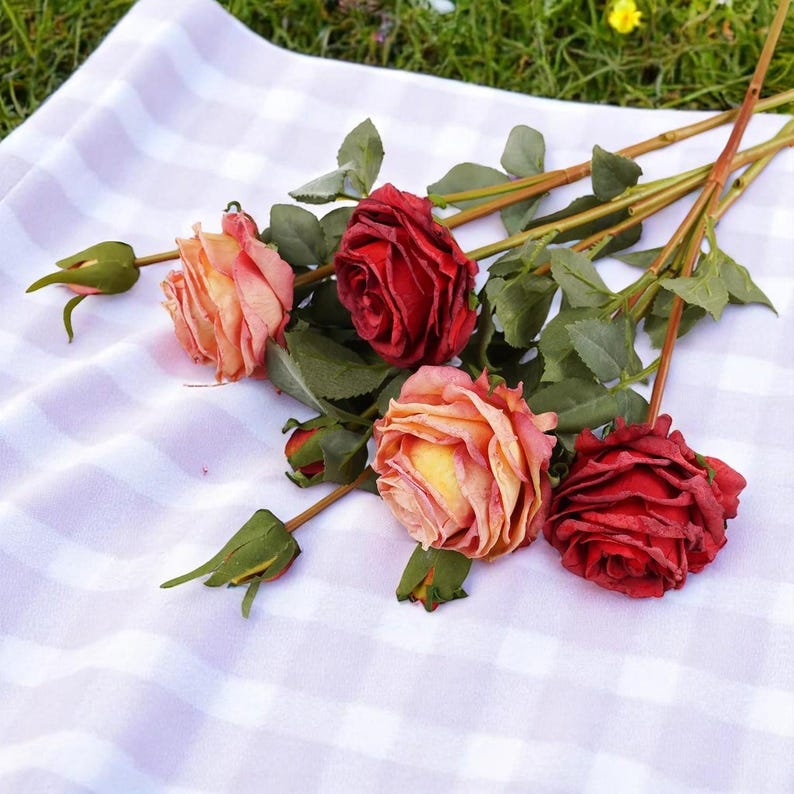 May include: A bouquet of artificial roses with pink, red, and yellow petals. The roses are arranged on a white and gray checkered tablecloth.