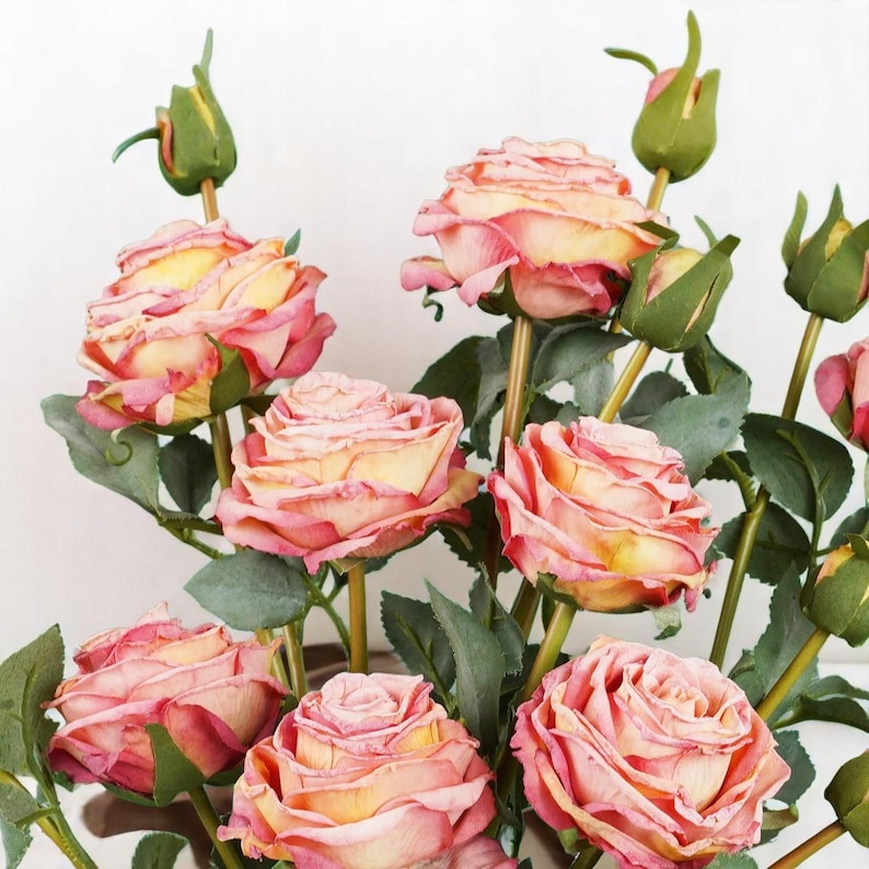 May include: A bouquet of pink and cream roses with green leaves and stems. The roses are arranged in a vase, and the stems are visible. The roses are in various stages of bloom, with some fully open and others still in bud.