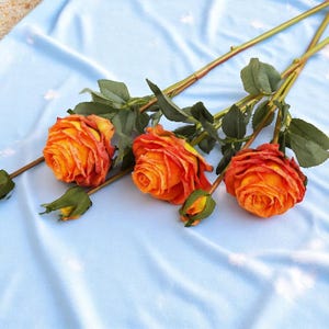 May include: Three orange artificial roses with green stems and leaves on a light blue background.