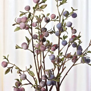künstliche rosen kaufen Selbstklebende Rosenblüten 24 Stück kaufen – eventkauf.com main image 1