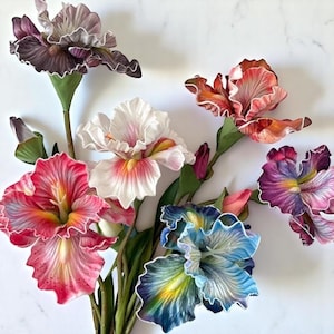 May include: A bouquet of six artificial silk iris flowers in various colors, including purple, pink, white, blue, and orange. The flowers have ruffled petals and are arranged in a vase.