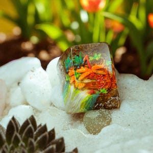 May include: A rectangular resin ring with a miniature underwater scene. The ring features orange, green, and brown elements, including what appears to be coral and a dragonfly. The ring is set against a backdrop of white stones and sand.
