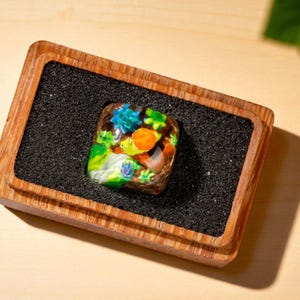 May include: A colorful, square artisan keycap featuring a miniature underwater scene with coral, fish, and plants. The keycap is set in a wooden tray with black sand. The keycap's design includes shades of blue, green, orange, and brown.