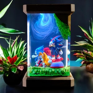 May include: A decorative resin display featuring Sonic the Hedgehog and friends. The figures are set in a clear, rectangular case with a wooden frame. The scene includes a blue swirling background and a green grassy base.