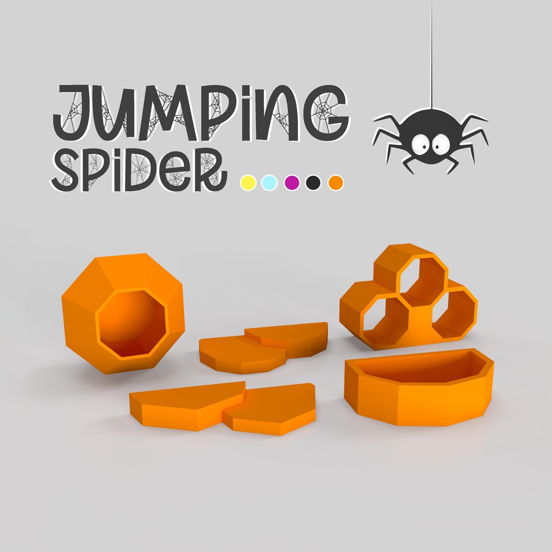 Complete Jumping Spider Habitat Kit – Accessories, Hideouts, Climbing ...