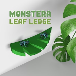 May include: A green monstera leaf shaped shelf with two blue and black poison dart frogs on it. The shelf is mounted on a white wall. The text "MONSTERA LEAF LEDGE" is above the shelf.