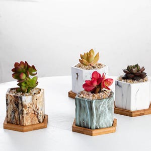 Op de afbeelding: Vier zeshoekige marmeren succulenten potten met verschillende marmerpatronen. Elke pot staat op een zeshoekige houten basis.