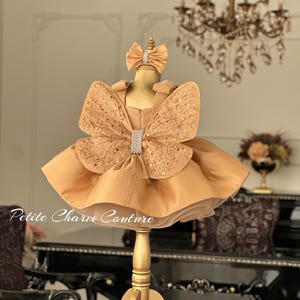 Elegant Champagne Flower Girl Dress, Toddler Tutu Dress, Birthday Dress for Little Girls, Flower Girl Pageant Dress,  Flower Girl Dresses
