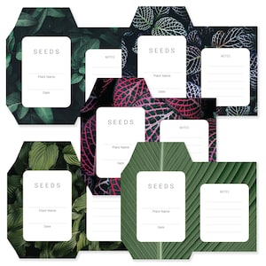 Seed Envelope Template Set of 5 Seed Saving Envelopes - Printable - Digital Download - Fruit Veggies Flowers Seed Saver Envelopes - DIY