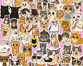 Trend kattenstickerbundel, grappige kattenmeme png, sticker kattenmemes emotes, stickermeme grappig, virale kattenstickers png, virale kattenmemesstickers