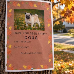 Lost Pet Poster. Digital Canva Template