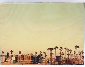 Venice Beach, California, Los Angeles, Beach, Ocean, Palm Tree, Handmade, DIY