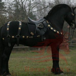 Puede incluir: Un majestuoso caballo negro, completamente ensillado y enjaezado, se encuentra en un campo. El pelaje liso del caballo contrasta con la guarnición de cuero detallada, adornada con detalles dorados. La crin del caballo está trenzada y lleva un freno.