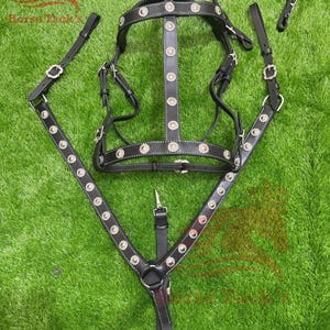 Fancy horse bridle in vintage style with free Reins & Breastplate in cowhide leather with brass ornaments