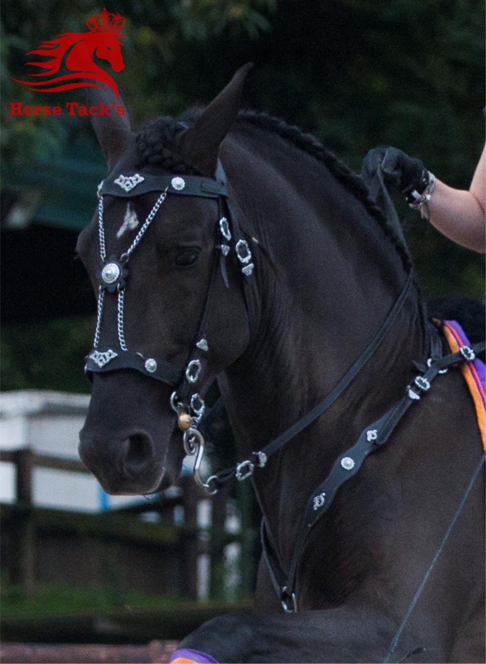 Handmade Fancy Horse Bridle In Baroque Style With Custom Gold