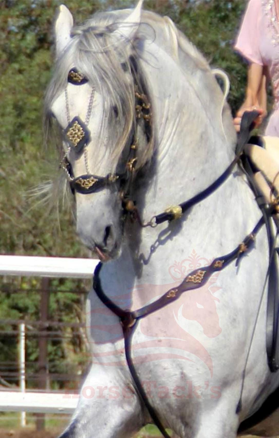 Bridon fantaisie fait main en cuir de vachette avec ornements