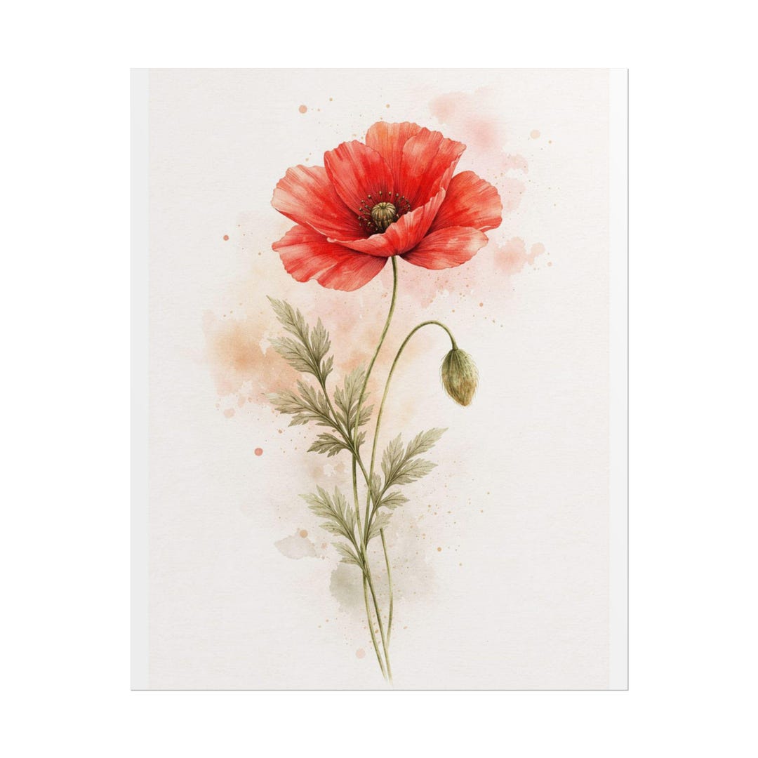 Red Poppy Watercolor Rolled Poster | Botanical Floral Wall Art - Etsy