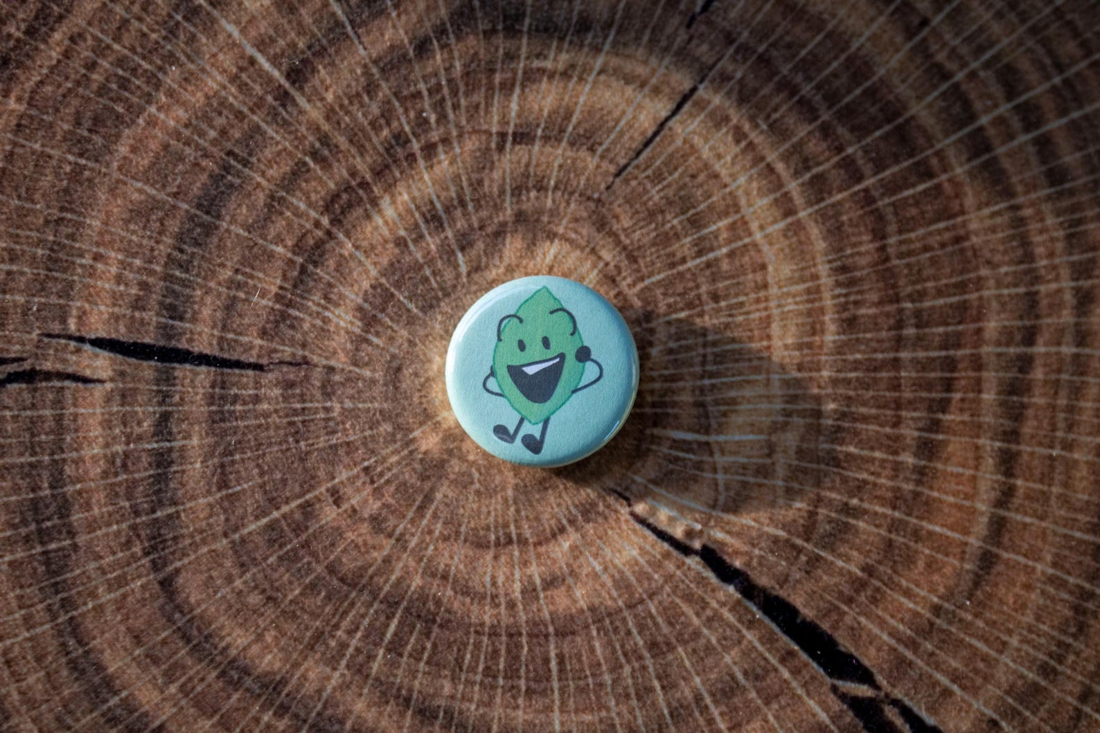 BFDI Firey and Leafy Pin Button Sets - Etsy