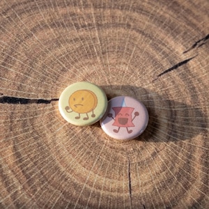 TPOT Pin and Coiny pin button set
