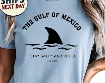 Gulf of Mexico Resistance T Shirt, Resist Shirt, Anti Trump, Democrat Shirt, Democrat Gift, Anti maga, America, Protest Tee, Political
