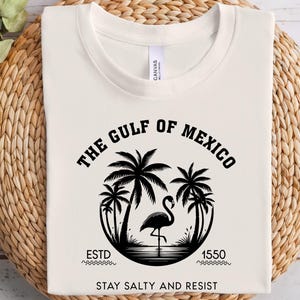 T-shirt de la résistance du golfe du Mexique, chemise résistant, anti-atout, chemise démocrate, cadeau démocrate, anti-maga, Amérique, t-shirt de protestation, politique