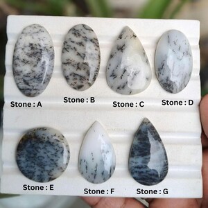 Könnte beinhalten: Sieben polierte Dendriten-Opal-Cabochons auf einem weißen, gerillten Präsentationstablett. Die Steine sind von Stone A bis Stone G beschriftet und weisen weiße und durchscheinende Basen mit dunklen, farnartigen Einschlüssen in ovalen Formen auf.