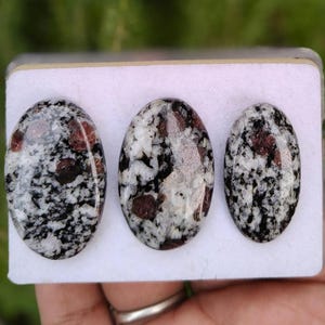 Può includere: Tre cabochon di forma ovale caratterizzati da un motivo maculato di inclusioni minerali nere, bianche e grigie con cristalli di granato rosso scuro incastonati. Le pietre levigate sono disposte orizzontalmente su un cartoncino bianco.