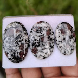 Könnte beinhalten: Drei oval geformte Cabochons mit einem gesprenkelten Muster aus schwarzen, weißen und dunkelroten Mineralieneinschlüssen. Die Steine haben eine polierte, glatte Oberfläche und sind nebeneinander auf einer weißen Präsentationskarte angeordnet.