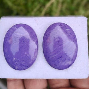 Könnte beinhalten: Zwei ovale, polierte violette Cabochons mit wirbelnden Mustern in hellen und dunklen Violetttönen. Diese glatten, abgerundeten Edelsteine haben eine glänzende Oberfläche und sind nebeneinander auf einer rechteckigen weißen Karte zur Ansicht platziert.