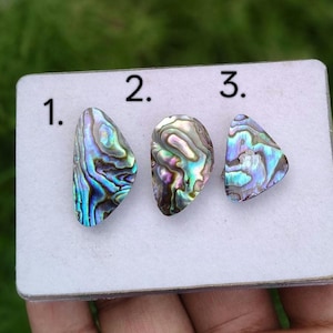 May include: Three polished abalone shell cabochons arranged on a white rectangular card labeled 1, 2, and 3. Each piece displays iridescent swirls of blue, green, purple, and pink, showcasing the natural pearlescent texture of the shell material.