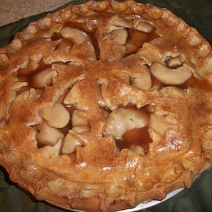 Fake Food Leaf Topped Fake Apple Pie Also on Our Website